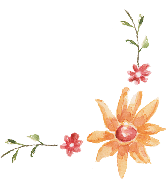 Hand-Painted Sunflower or Aster and Santan Watercolor Filipino Flower Arrangement Illustration