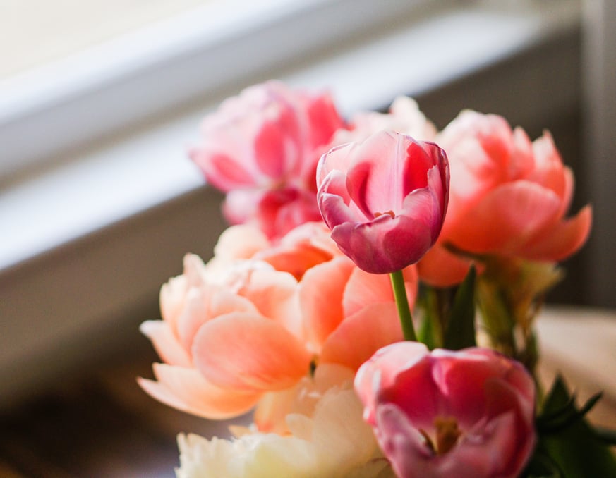 Close Photography of Red Flower in Vase